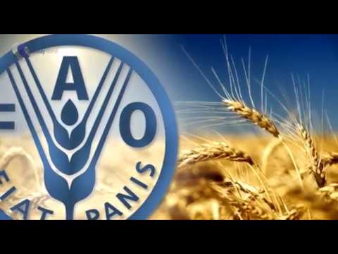 فيديو: تحديد هيكل المحاصيل وتناوب المحاصيل