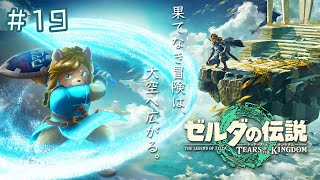 ＃19【ゼルダの伝説 ティアーズオブザキングダム】時の神殿の謎に迫る【Vtuber】
