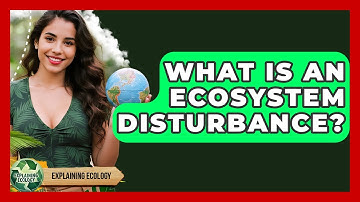 What Is An Ecosystem Disturbance? - Explaining Ecology
