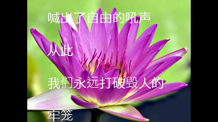 三八婦女節歌  冼星海曲 - 天天要聞