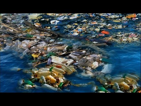 Vidéo: Île aux ordures dans l'océan Pacifique : causes, conséquences, photos