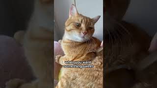 Download Lagu XVitaWear Introducing the\ MP3