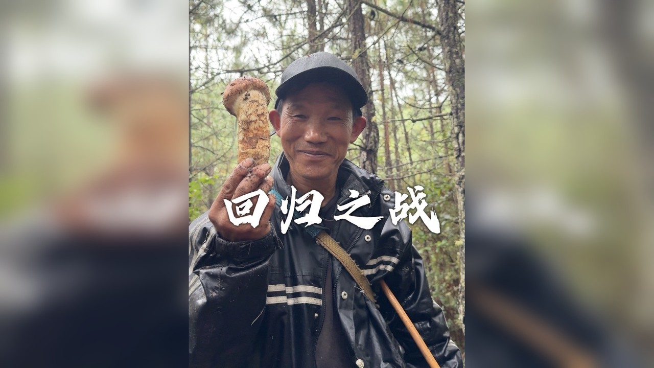 看看进入今年采松茸季后赛，父子联手发挥的有多厉害