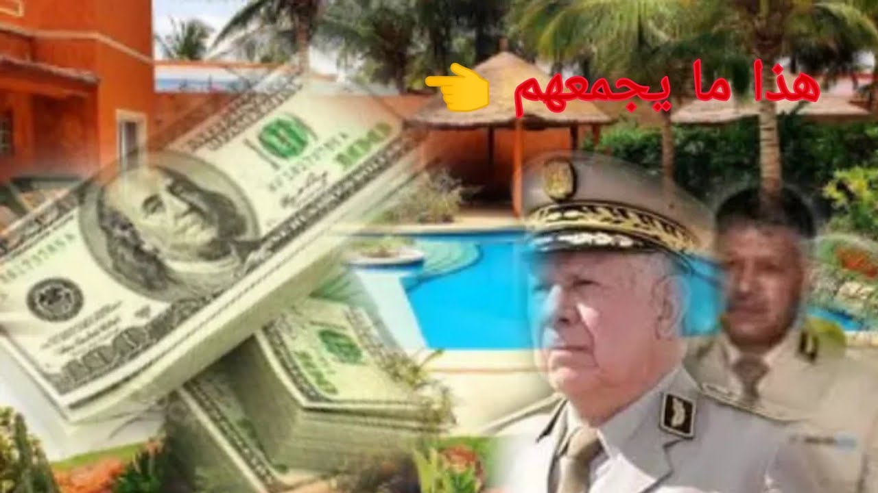 العسكري محمد بن حليمة يكشف العلاقة بين شنڨريحة و صديقي كيف تحصل على ترقيات خيالية 😱