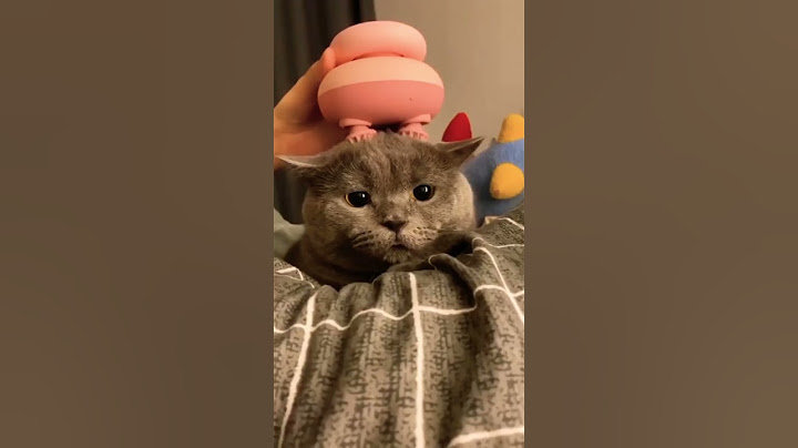 Cat electric head massage #cat #headmassage #cute #shorts #shortvideo  #trending #viral #youtube