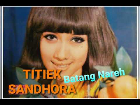 TITIEK SANDHORA - Batang Nareh( Lagu Minang) - dengan Band 4 Nada
