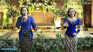 Live TAYUB WISNU LARAS//JAYA ABADI Audio//DUTA HD MONDOKAN Sidorejo Tlogotirto 17 Mei 2023