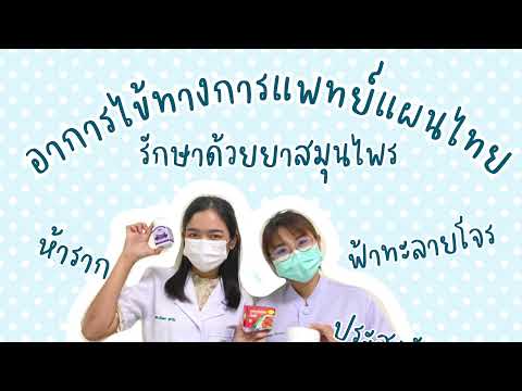 อาการไข้ทางการแพทย์แผนไทย | ใช้ยาสมุนไพรอะไร ฟ้าทะลายโจร ? จันทลีลา ?