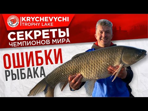 Ошибки в ловле карпа и амура на турнире по флэт фидеру.