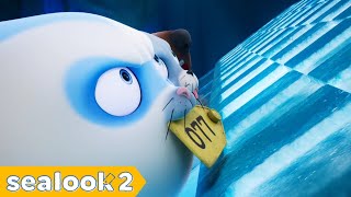 Sealook Formula 1 : Soda Seal the Best Racer | S1 S2 | SEALOOK Official