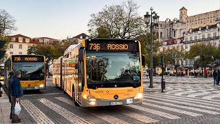 картинка: Автобусы в Лиссабоне, Португалия 🇵🇹 | 2025