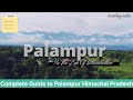 Palampur  most underrated destination in himachal  tourist places to visit  complete information