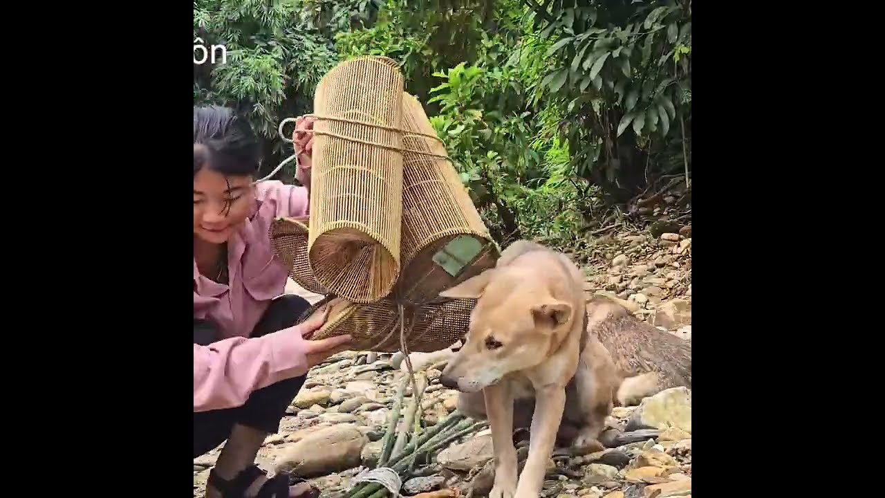 Single Vietnamese girl catches honey bees alone to make a living- ha thi muon