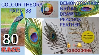 COLOUR THEORY : PART 38 :  Drg Grade Exams n All Art Courses. DEMO : Drawing a peacock feather.