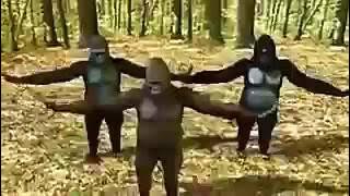 Goyang kingkong