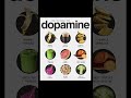 Top Foods to Boost Dopamine Naturally π§