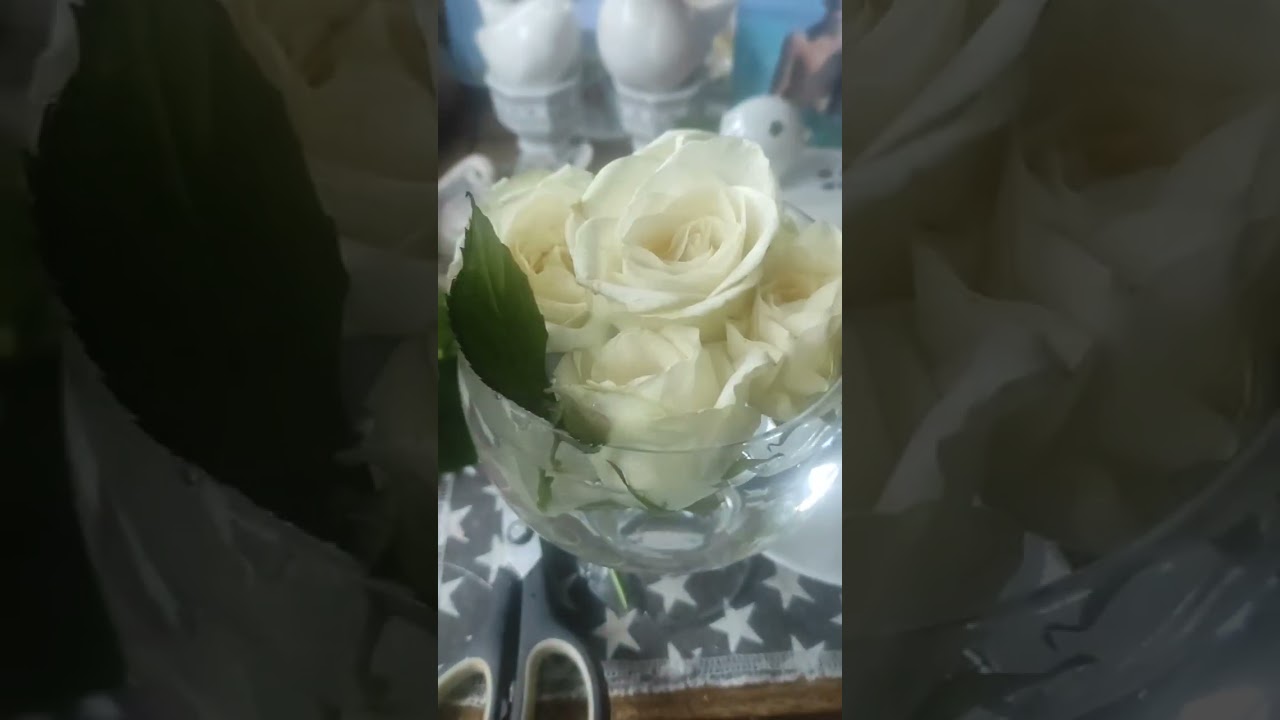 Спасение роз.Часть 2