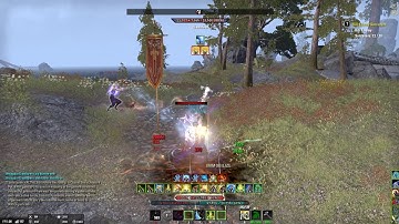 Health Desync Bug still there - Fix it ZOS pls !