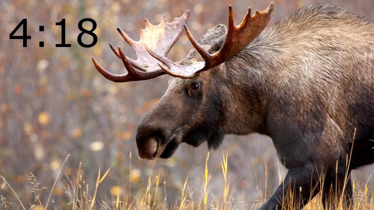 (Short)- Garrys mod & 420 vine meme