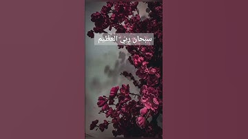 القرآن الكريم/ تلاوة خاشعة/ تلاوة / سبحان الله/ ترتيل/ الترتيل
