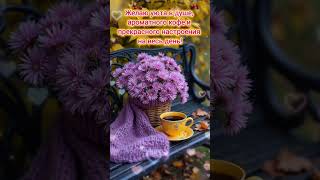 Доброе утро,хорошего дня открытки на каждый день #открытка #доброеутро #видеооткрытка #доброеутречко