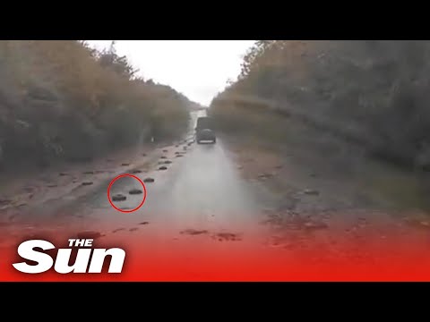 Column of Ukrainian army vehicles moves along road mined by Russians