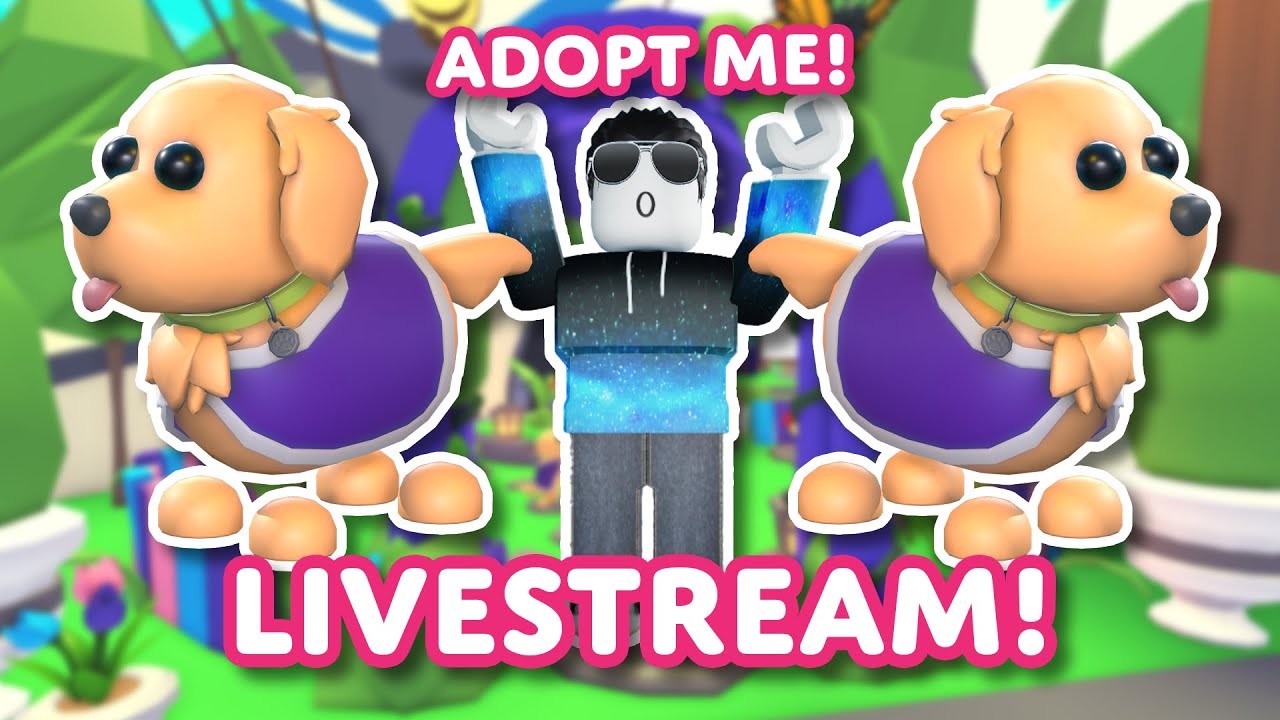 🐕‍🦺WE ADOPT OUR OWN THERAPY DOG!🏥 Charity partnership with GOSH!🥰 Adopt