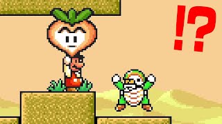 何かが色々おかしいマリオ【スーパーマリオアドバンス4】