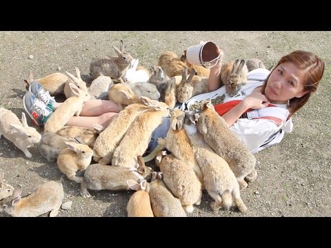 Girl Gets Eaten by Hungry Bunnies! The Rabbit Island Challenge!