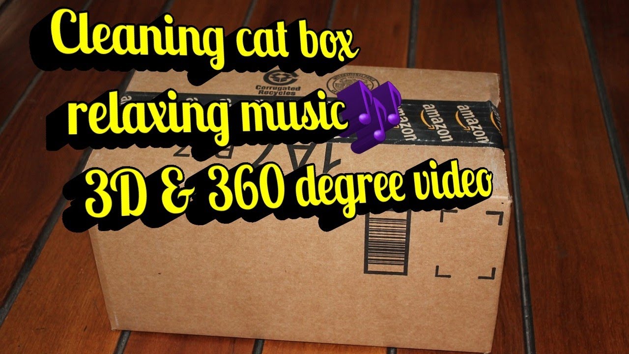 Clean cat box l relaxing music l 360 l cube 1 6 faces 3D l Cyberlink