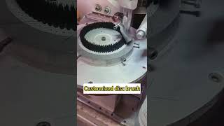 Customized disc brush