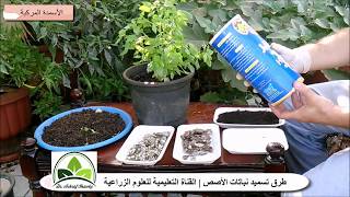 (94) تسميد نباتات الأصص المنزلية | (عضوى – معدنى) | الزراعة المنزلية