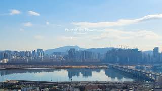 [Playlist] 사나고 브금 모음 | 클래식 모음 (1시간/1hour) | Classical music with City view sanago