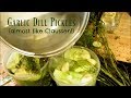 Claussen Copycat Recipe?!  Quick Garlic Dill Pickles!