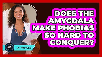 Does The Amygdala Make Phobias So Hard To Conquer? - Face Your Phobias