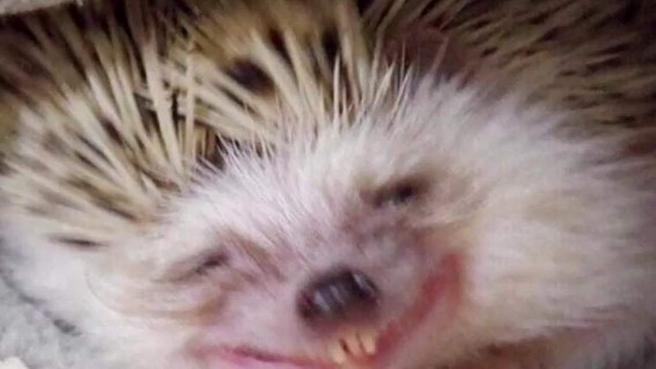 Carnage Mode 65-95% (noob progress)