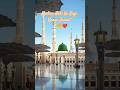 Madina Nabi Ka Lage Baage Jannat | Beautiful Qawwali Status 💖#islamicshorts#qawwali #trending#shorts