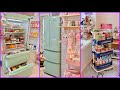 Refrigerator organization  satisfying ref clean and restocking with chinsun