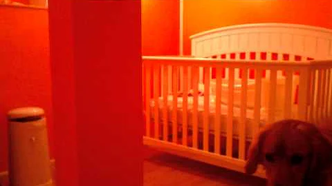 Gina Reagan Hickey Nursery