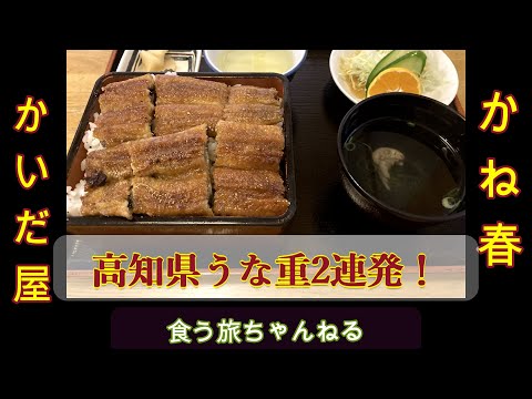 高知県、うなぎ2連発！高知グルメかいだ屋！かね春！飯テロ、両方最高！かね春さんのお接待の心遣いに涙が出ました　お遍路四国八十八ヶ所巡礼　グルメ旅　高知県観光の参考にしていただけたら幸いです。