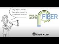 Palo alto fiber introduction