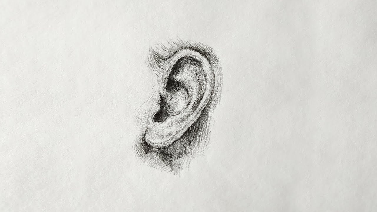 18 Graffiti Ear sketch drawing for Adult