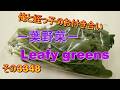 俺と姪っ子のお付き合い－葉野菜－その3348 Leafy greens