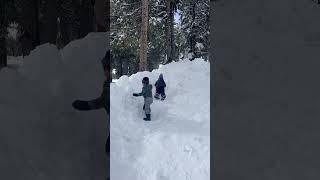Sliding in the snow