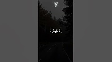 راحة نفسية | ياسر الدوسري | سورة النساء 🖤                      #اسلام #راحة_نفسية #راحة