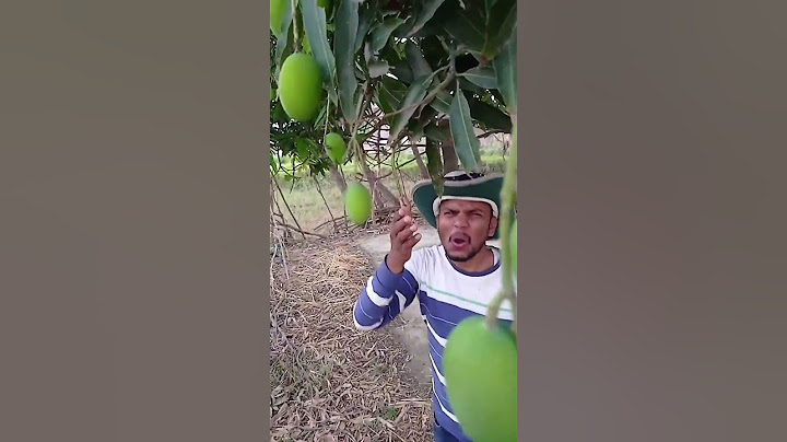 aam chori karke bhag gye 🥭 #shorts #funny #viral #