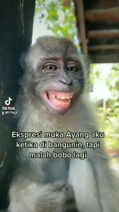 alai...kena kcw tdr...😅 #Assalamualaikum