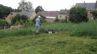 One Man And His Dog Went To Mow A Meadow...
