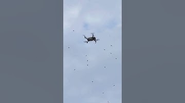 My drone was attacked by a swarm of wasps.😅