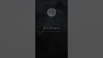 وَلَا تَكُونُوا۟ كَٱلَّذِینَ نَسُوا۟ ٱللَّهَ | محمد صديق المنشاوي | سورة الحشر | بيات
